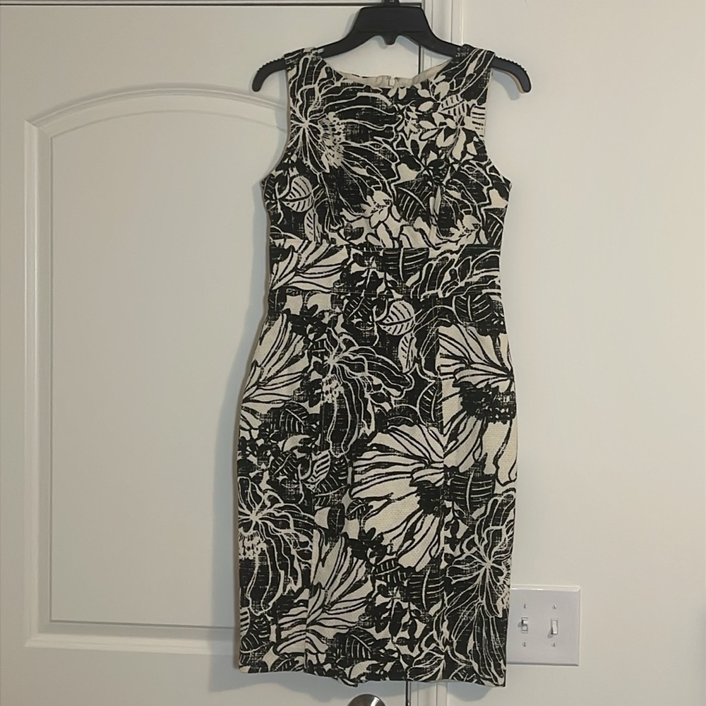 NWOT Jones New York Lined Cream with Black Floral 100% Cotton Dress Size 6 NWOT